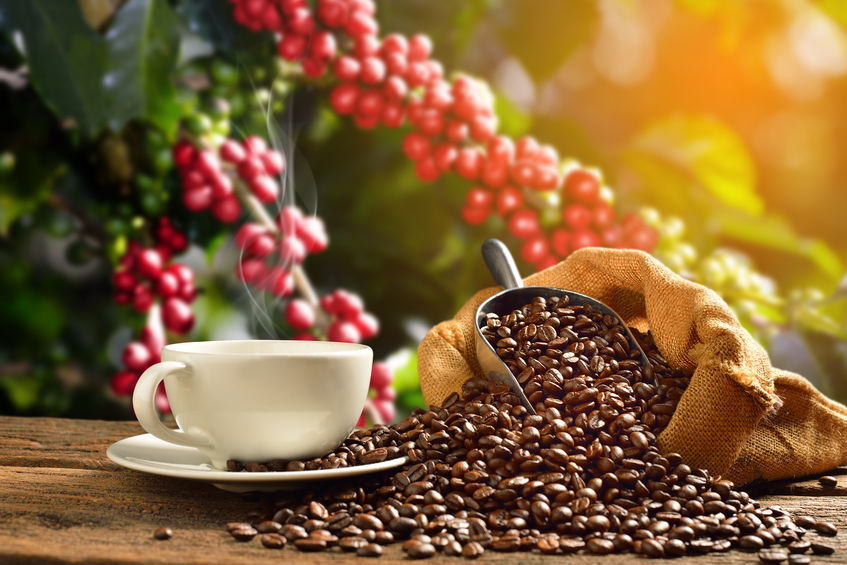 咖啡烘焙程度影響咖啡因嗎？